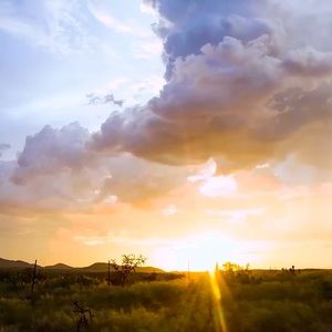 Meet your Posher, Kaylee